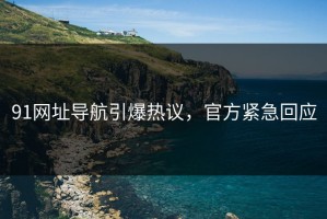 91网址导航引爆热议，官方紧急回应