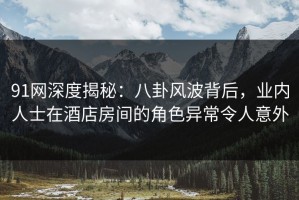 91网深度揭秘：八卦风波背后，业内人士在酒店房间的角色异常令人意外