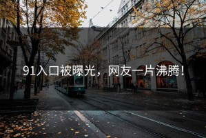 91入口被曝光，网友一片沸腾！