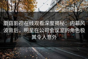 蘑菇影视在线观看深度揭秘：内幕风波背后，明星在公司会议室的角色极其令人意外