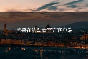 黑兽在线观看官方客户端