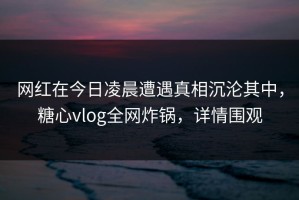 网红在今日凌晨遭遇真相沉沦其中，糖心vlog全网炸锅，详情围观