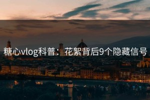 糖心vlog科普：花絮背后9个隐藏信号