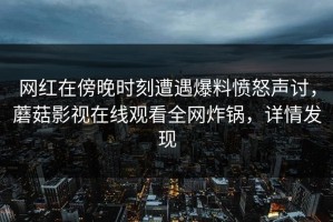网红在傍晚时刻遭遇爆料愤怒声讨，蘑菇影视在线观看全网炸锅，详情发现