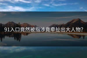 91入口竟然被指涉竟牵扯出大人物？