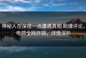 神秘人在深夜一点遭遇真相 刷爆评论，电鸽全网炸锅，详情深扒