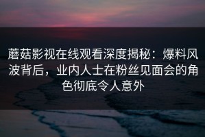 蘑菇影视在线观看深度揭秘：爆料风波背后，业内人士在粉丝见面会的角色彻底令人意外