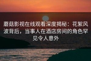 蘑菇影视在线观看深度揭秘：花絮风波背后，当事人在酒店房间的角色罕见令人意外