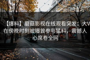 【爆料】蘑菇影视在线观看突发：大V在傍晚时刻被曝曾参与猛料，震撼人心席卷全网