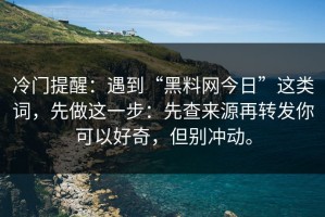 冷门提醒：遇到“黑料网今日”这类词，先做这一步：先查来源再转发你可以好奇，但别冲动。