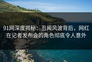 91网深度揭秘：丑闻风波背后，网红在记者发布会的角色彻底令人意外