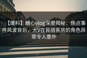【爆料】糖心vlog深度揭秘：热点事件风波背后，大V在民宿客房的角色异常令人意外