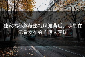 独家揭秘蘑菇影视风波背后：明星在记者发布会的惊人表现