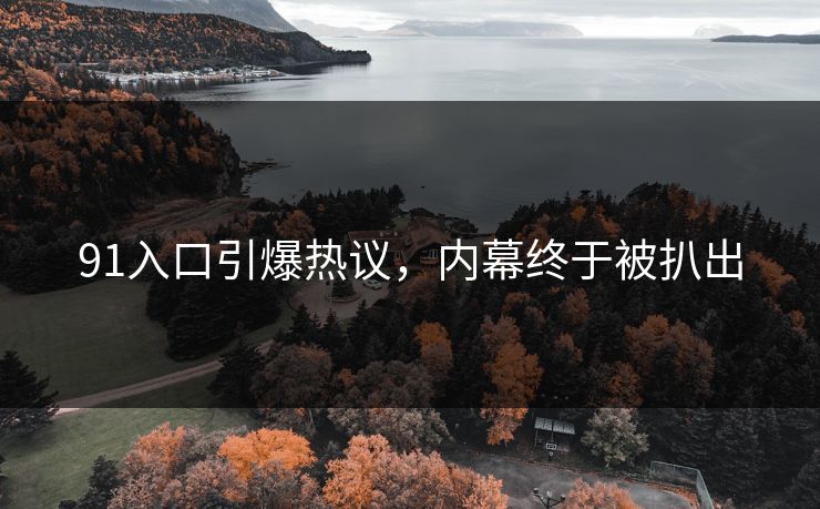 91入口引爆热议，内幕终于被扒出