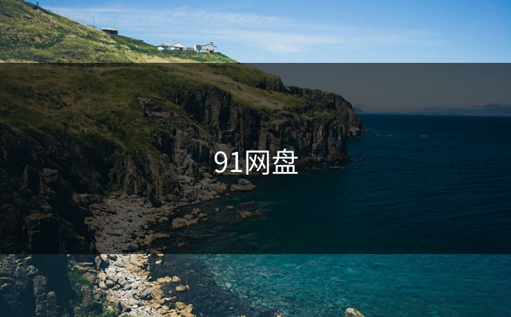 91网盘