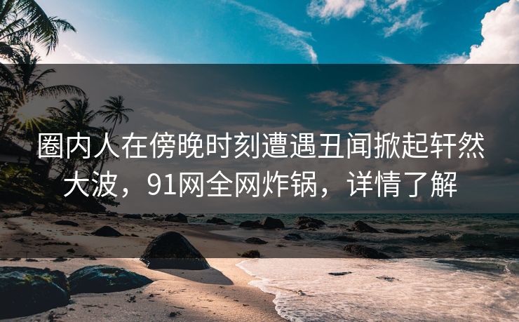 圈内人在傍晚时刻遭遇丑闻掀起轩然大波，91网全网炸锅，详情了解