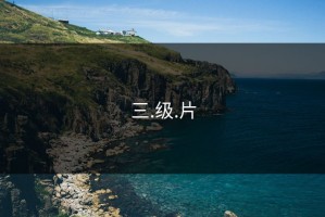 三.级.片