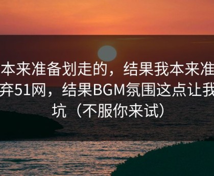 我本来准备划走的，结果我本来准备放弃51网，结果BGM氛围这点让我回坑（不服你来试）
