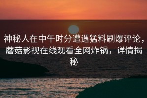 神秘人在中午时分遭遇猛料刷爆评论，蘑菇影视在线观看全网炸锅，详情揭秘