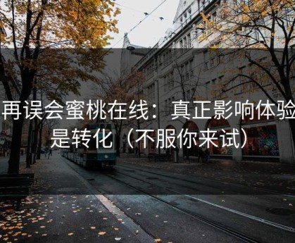 别再误会蜜桃在线：真正影响体验的是转化（不服你来试）