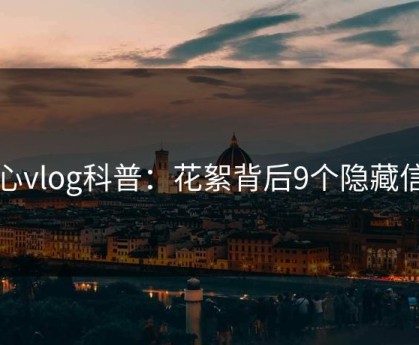 糖心vlog科普：花絮背后9个隐藏信号