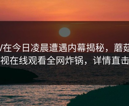 大V在今日凌晨遭遇内幕揭秘，蘑菇影视在线观看全网炸锅，详情直击