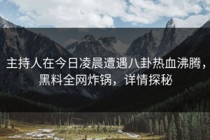 主持人在今日凌晨遭遇八卦热血沸腾，黑料全网炸锅，详情探秘