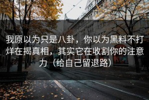 我原以为只是八卦，你以为黑料不打烊在揭真相，其实它在收割你的注意力（给自己留退路）