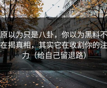 我原以为只是八卦，你以为黑料不打烊在揭真相，其实它在收割你的注意力（给自己留退路）