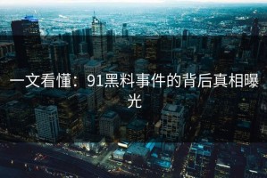 一文看懂：91黑料事件的背后真相曝光