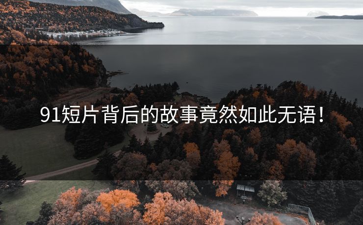 91短片背后的故事竟然如此无语！