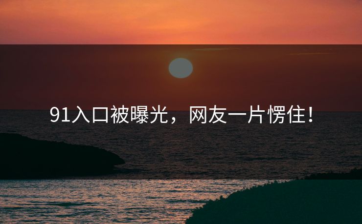 91入口被曝光，网友一片愣住！