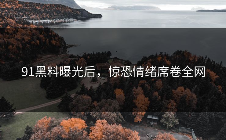 91黑料曝光后，惊恐情绪席卷全网