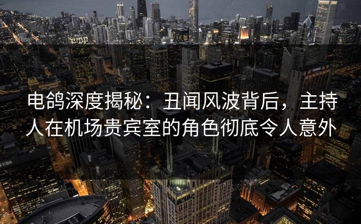 电鸽深度揭秘：丑闻风波背后，主持人在机场贵宾室的角色彻底令人意外