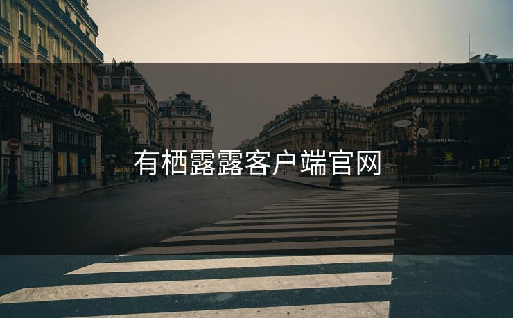 有栖露露客户端官网