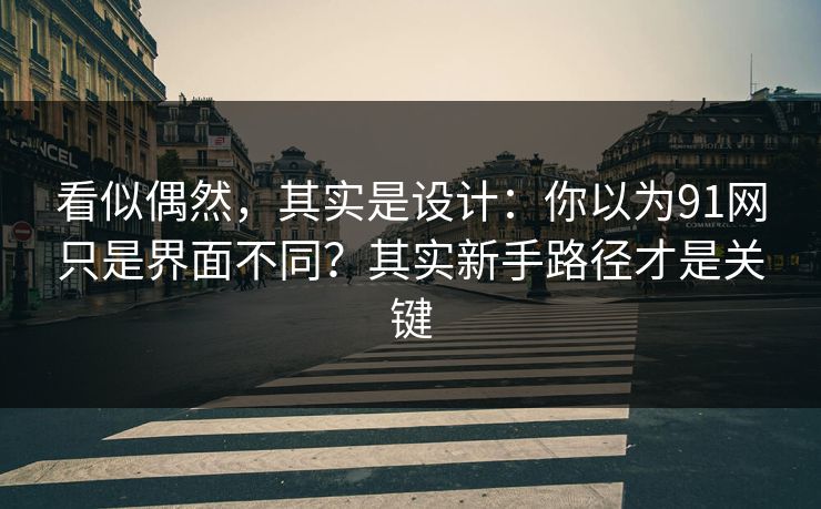 看似偶然，其实是设计：你以为91网只是界面不同？其实新手路径才是关键
