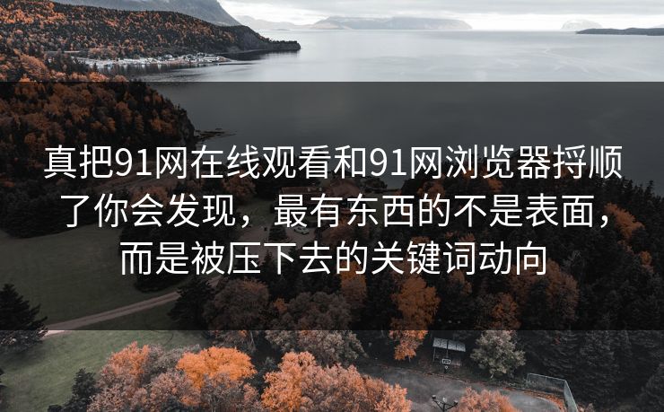 真把91网在线观看和91网浏览器捋顺了你会发现，最有东西的不是表面，而是被压下去的关键词动向